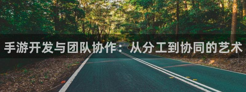 三牛公司：手游开发与团队协作：从分工到协同的艺术