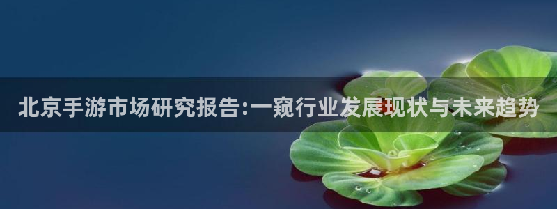 三牛娱乐是网络诈骗平台吗安全吗：北京手游市场研究报告:一窥行