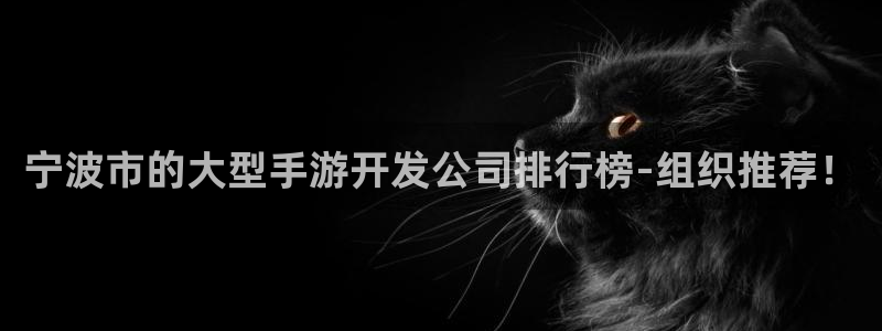 三牛娱乐管网怎么样：宁波市的大型手游开发公司排行榜-组织推荐
