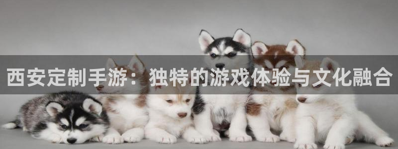 三牛娱乐官网登录入口下载安装：西安定制手游：独特的游戏体验与