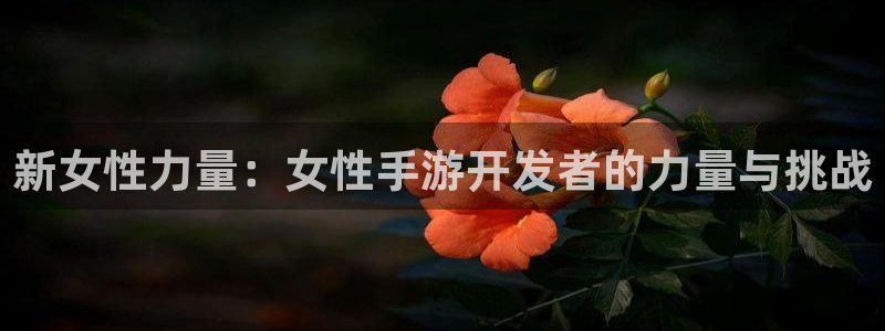 买三牛：新女性力量：女性手游开发者的力量与挑战