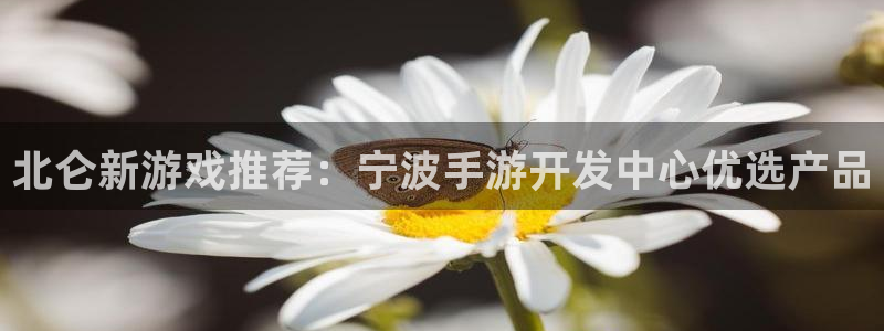 三牛娱乐官网登录入口下载手机版：北仑新游戏推荐：宁波手游开发