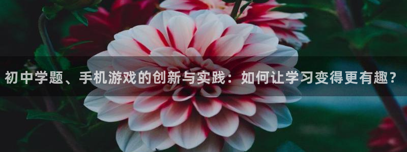 三牛娱乐负责人是谁：初中学题、手机游戏的创新与实践：如何让学