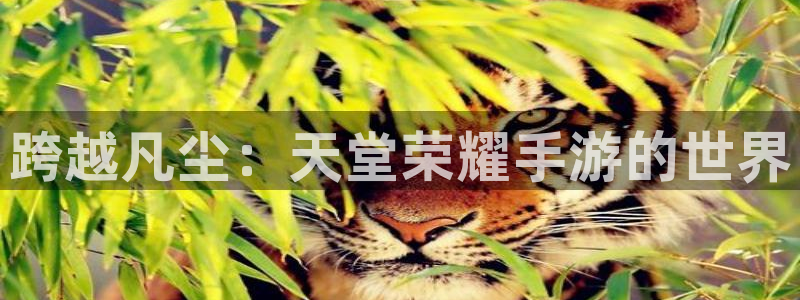 三牛娱乐管网客服电话：跨越凡尘：天堂荣耀手游的世界