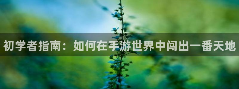 买三牛：初学者指南：如何在手游世界中闯出一番天地